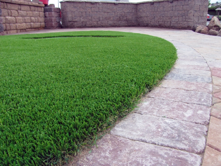 Best Artificial Grass Daytona Beach, Florida Lawn And Garden, Landscaping Ideas For Front Yard