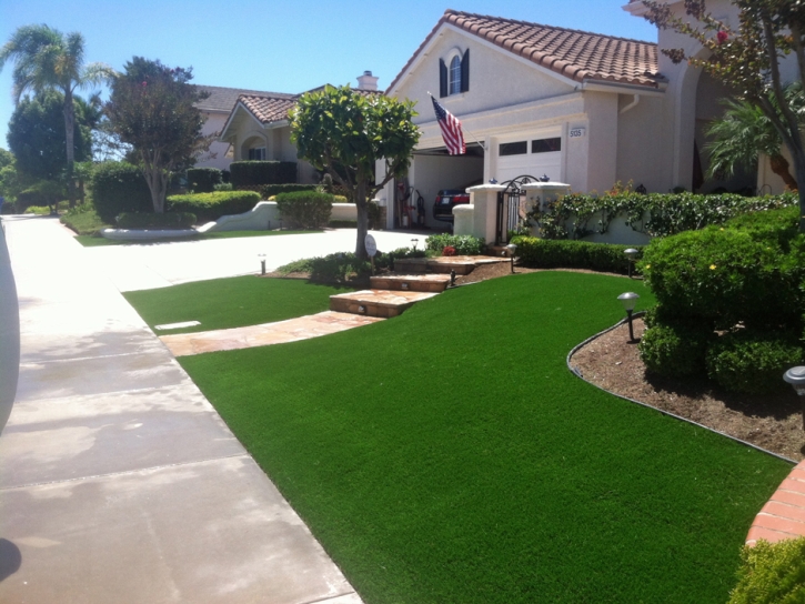 Best Artificial Grass Lake Wales, Florida Rooftop, Front Yard