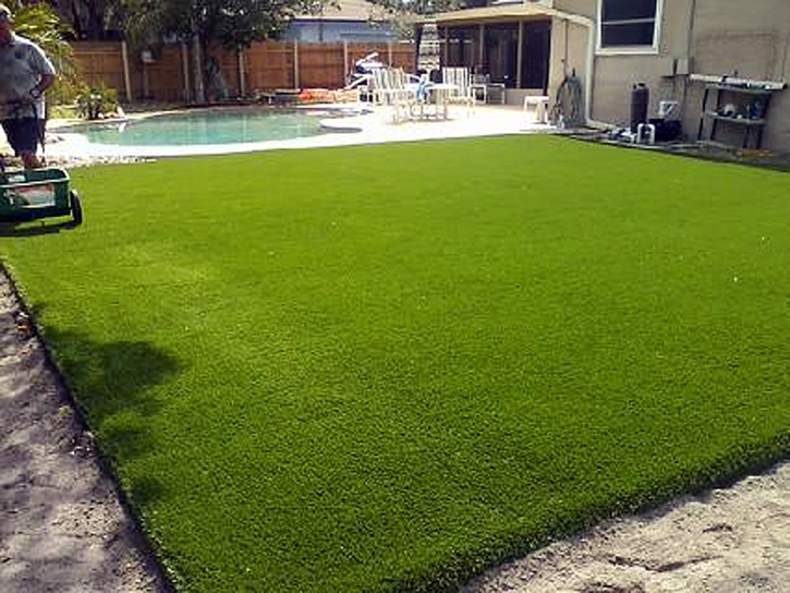 Best Artificial Grass Leesburg, Florida Landscape Rock, Backyard Ideas