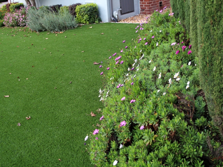 Best Artificial Grass South Sarasota, Florida Lawns, Front Yard Landscaping