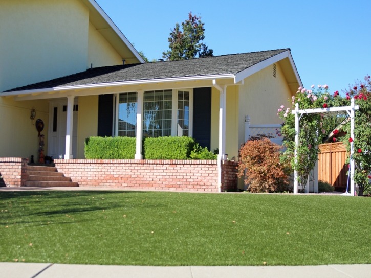 Best Artificial Grass Wildwood, Florida Landscaping, Front Yard Landscaping Ideas