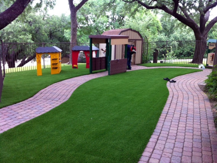 Fake Grass Brewster, Florida Roof Top, Commercial Landscape