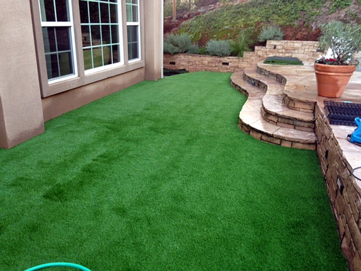 Fake Grass Carpet Beverly Hills, Florida Garden Ideas, Small Backyard Ideas