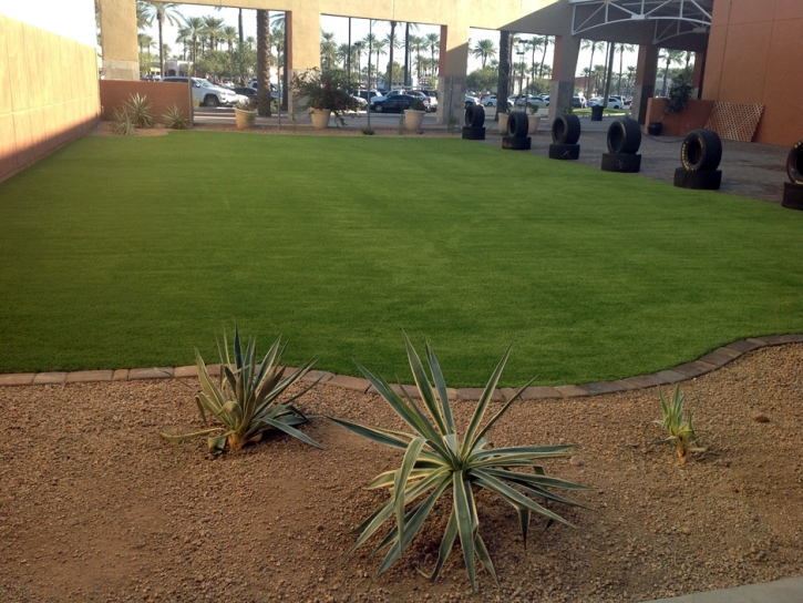 Fake Grass Carpet Buckhead Ridge, Florida City Landscape, Commercial Landscape