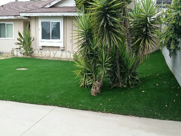 Fake Grass Carpet Cocoa West, Florida Design Ideas, Front Yard Landscaping