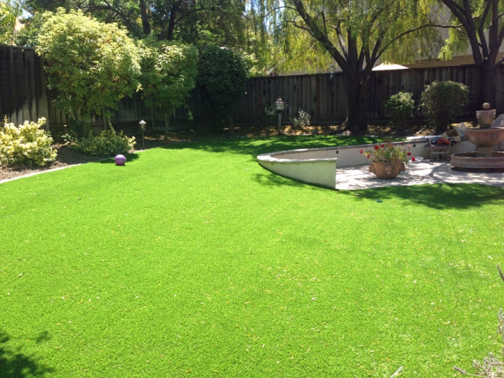 Fake Grass Carpet Gibsonia, Florida Landscape Design, Small Backyard Ideas