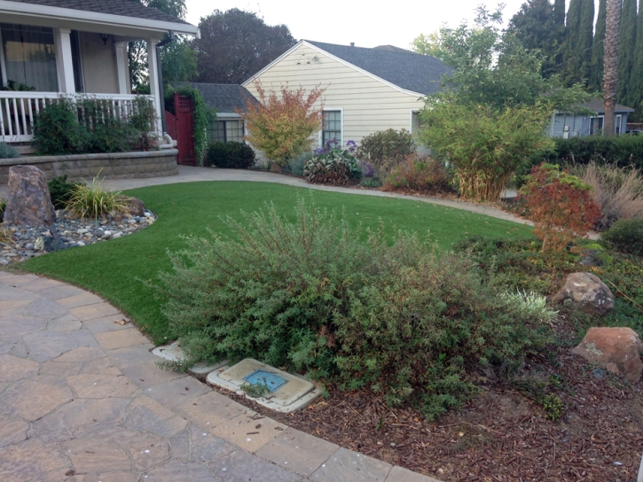 Fake Grass Carpet Highland City, Florida Roof Top, Small Front Yard Landscaping