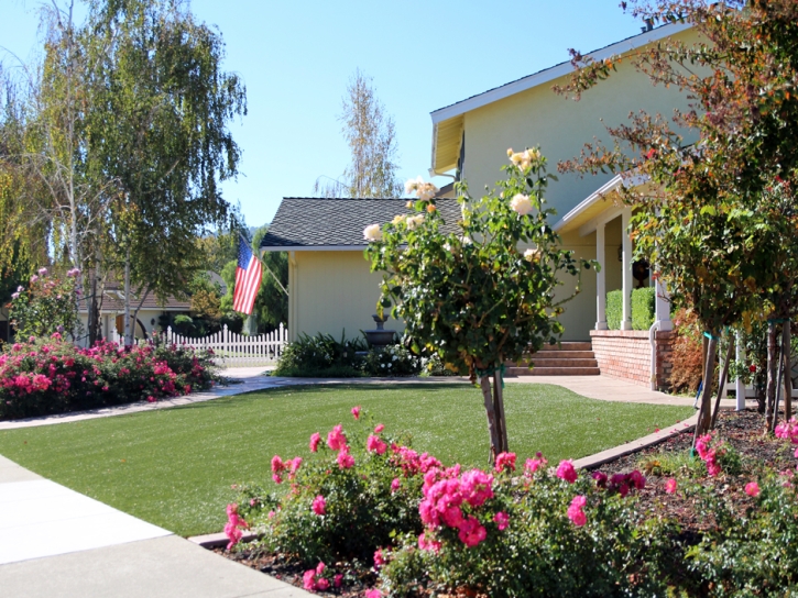 Fake Grass Carpet Palm Shores, Florida Garden Ideas, Small Front Yard Landscaping