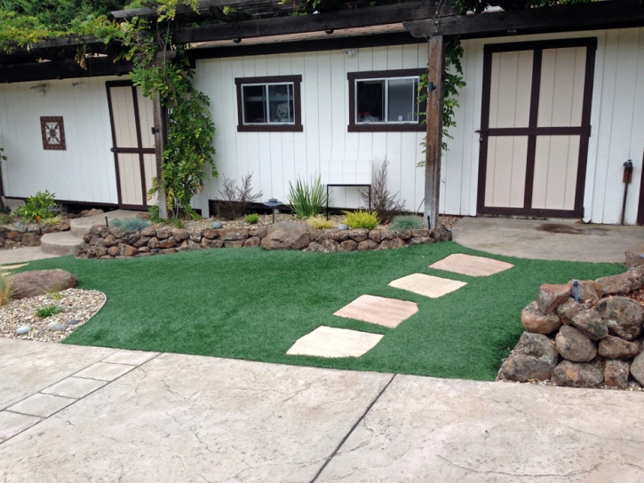 Fake Grass Carpet Port Orange, Florida Rooftop, Small Front Yard Landscaping