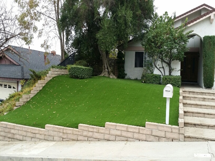 Fake Grass Carpet Raleigh, Florida Landscape Rock, Landscaping Ideas For Front Yard