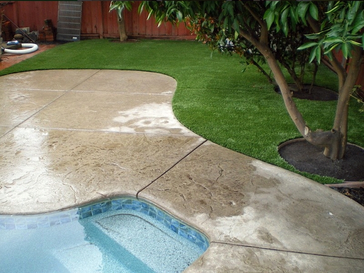 Fake Grass Carpet Samoset, Florida Home And Garden, Above Ground Swimming Pool