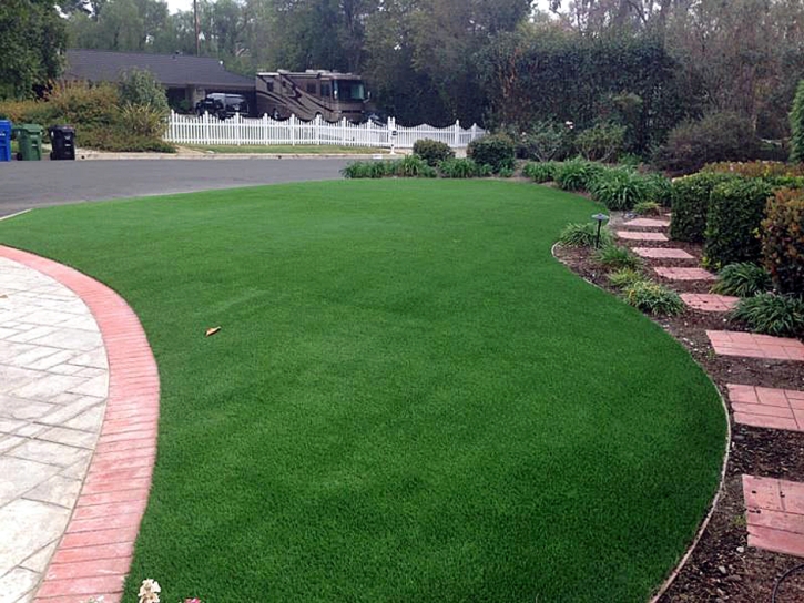 Fake Grass Carpet Tildenville, Florida Landscape Design, Landscaping Ideas For Front Yard