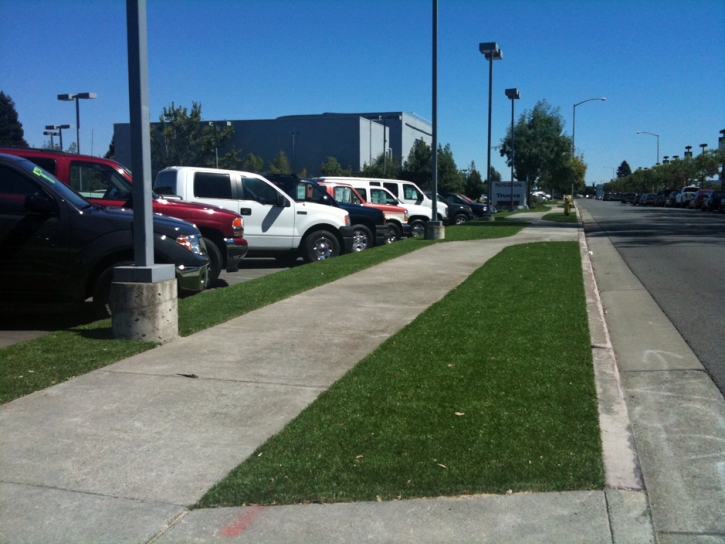 Fake Grass Carpet Treasure Island, Florida Landscape Rock, Commercial Landscape