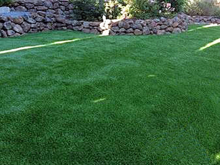 Fake Grass Carpet Wekiwa Springs, Florida Cat Playground, Backyard Ideas