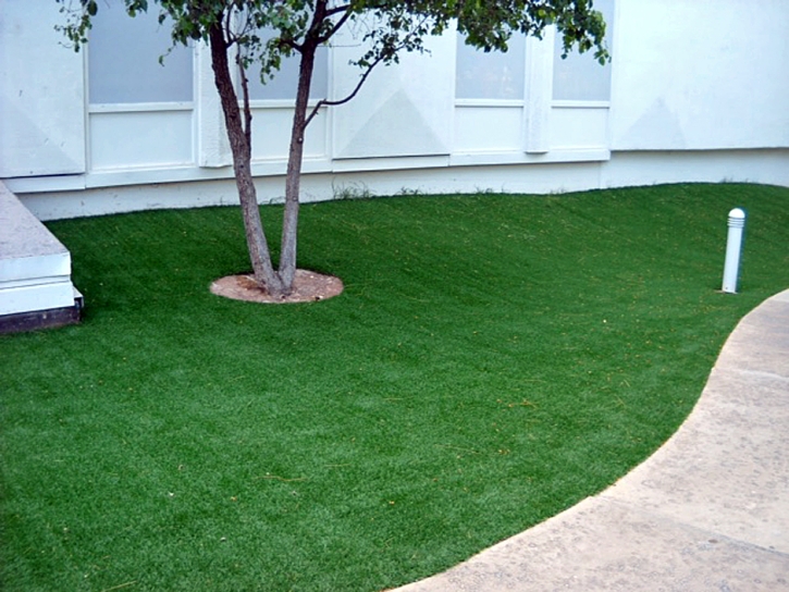 Fake Grass Gandy, Florida Landscaping, Commercial Landscape