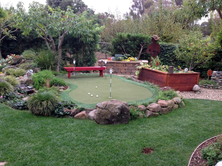 Fake Grass Greater Northdale, Florida Indoor Putting Greens, Beautiful Backyards