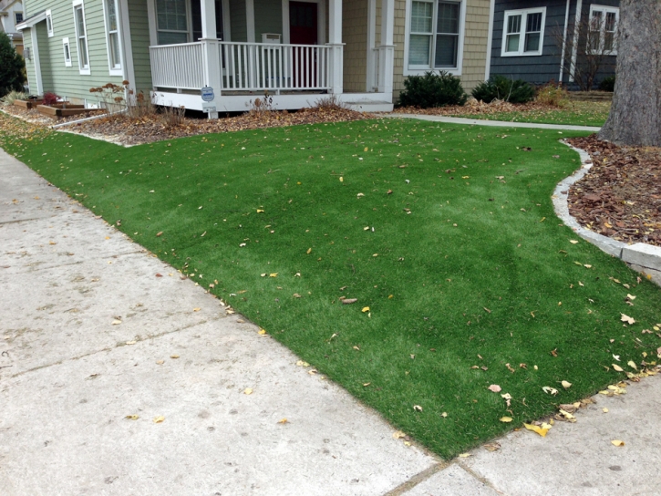 Fake Grass Pelican Bay, Florida Backyard Playground, Front Yard Landscaping