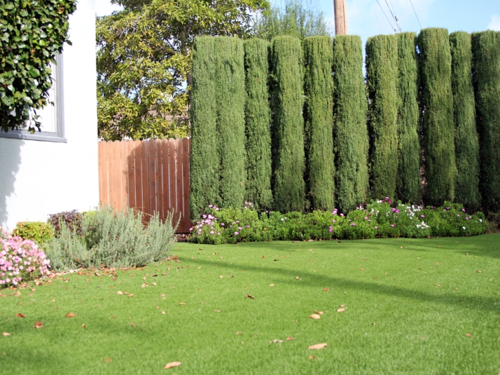 Fake Grass South Gate Ridge, Florida Backyard Deck Ideas, Front Yard Landscape Ideas