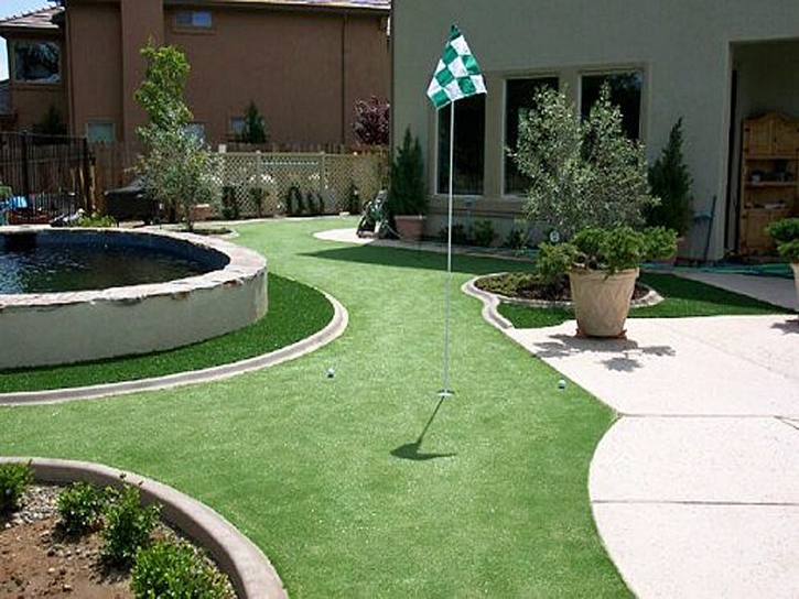 Fake Grass Tice, Florida City Landscape, Backyard Makeover