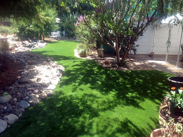 Fake Grass West and East Lealman, Florida Landscape Photos, Backyard Garden Ideas