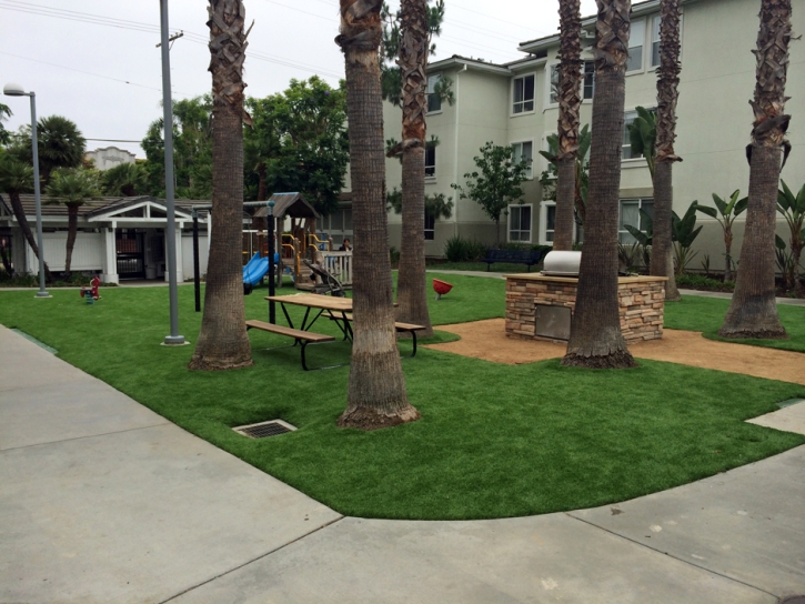 Fake Grass Winston, Florida Landscaping Business, Commercial Landscape