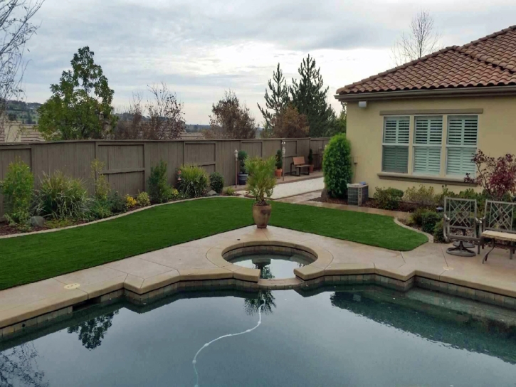 Fake Lawn Groveland, Florida Landscape Design, Swimming Pools