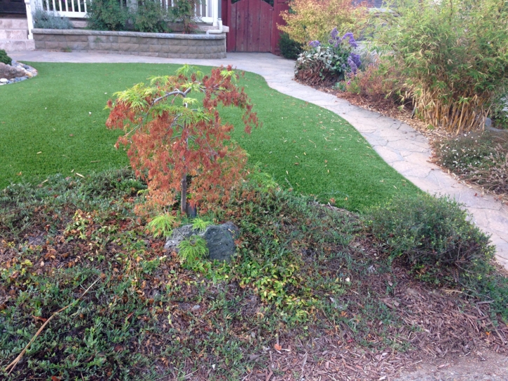 Fake Lawn Harbor Bluffs, Florida City Landscape, Small Front Yard Landscaping