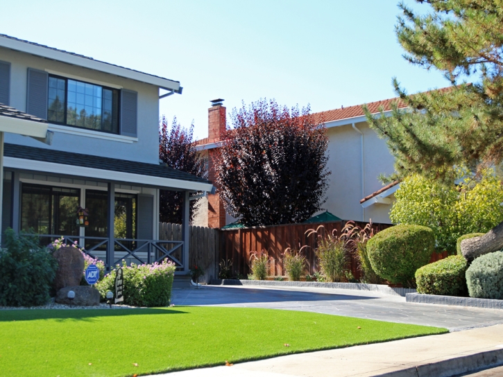 Fake Lawn Samoset, Florida Rooftop, Front Yard Design