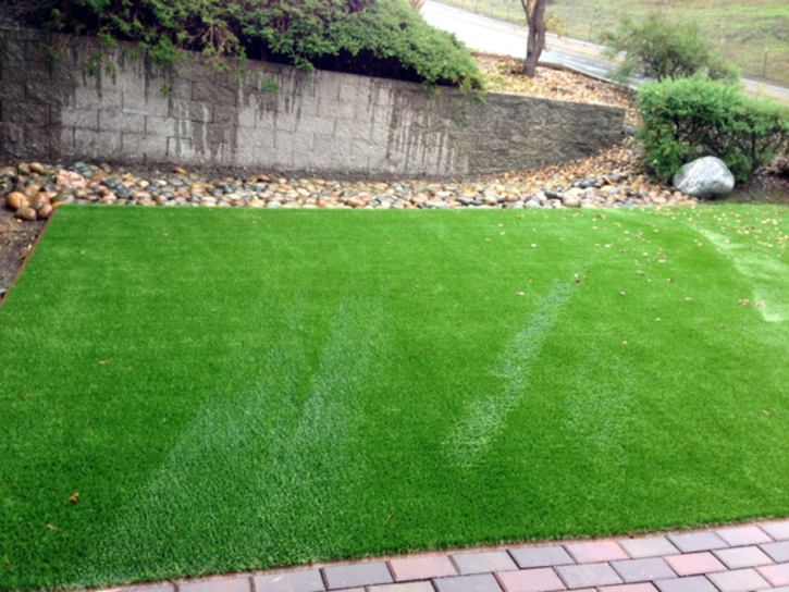 Fake Turf Bayonet Point, Florida Landscaping, Small Front Yard Landscaping