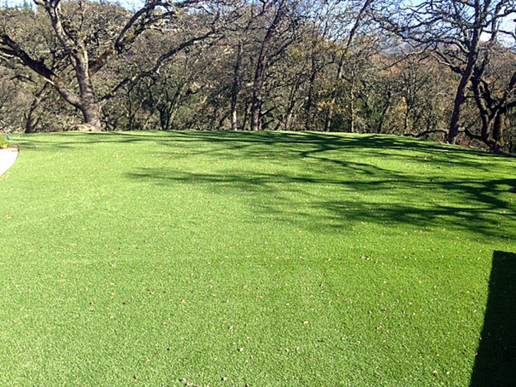 Fake Turf Black Diamond, Florida Landscape Design, Recreational Areas