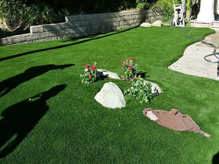 Fake Turf Cypress Lake, Florida Lawn And Garden, Front Yard Landscaping Ideas