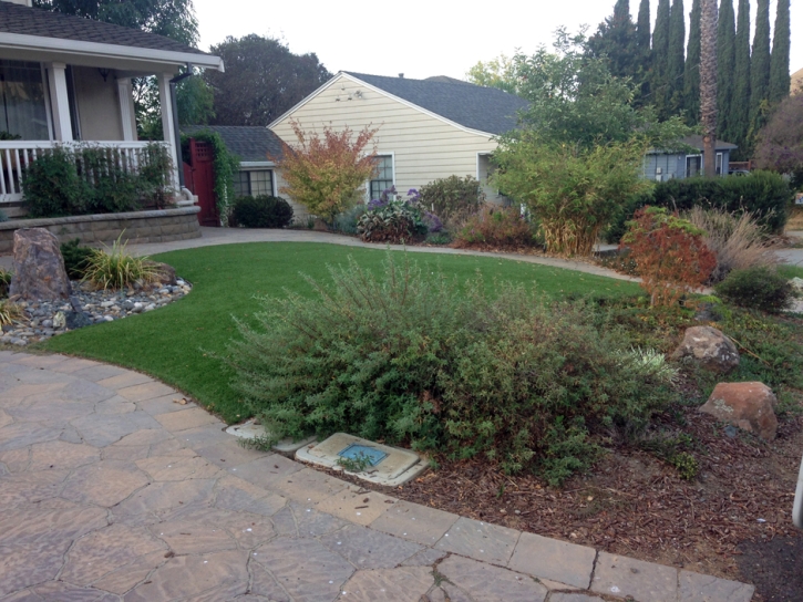 Fake Turf Fish Hawk, Florida Gardeners, Front Yard Landscaping Ideas