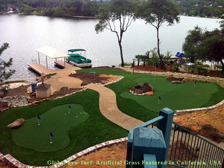 Fake Turf Gibsonton, Florida Landscape Photos, Backyard Landscaping Ideas