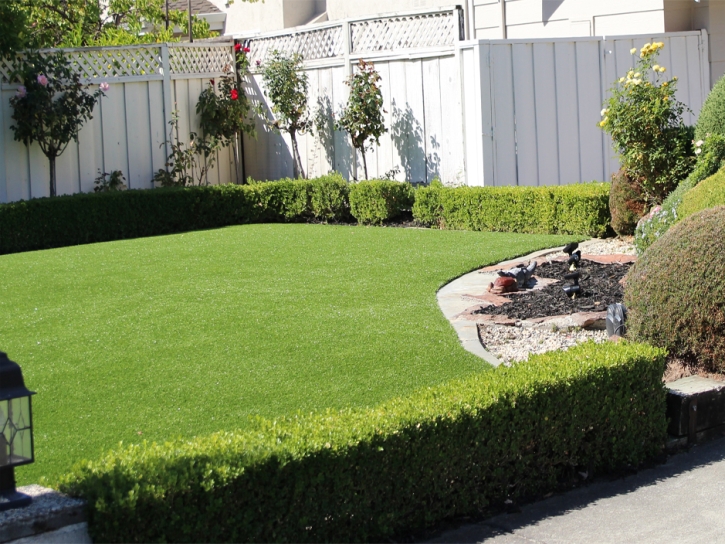 Fake Turf Horseshoe Beach, Florida Lawn And Garden, Front Yard