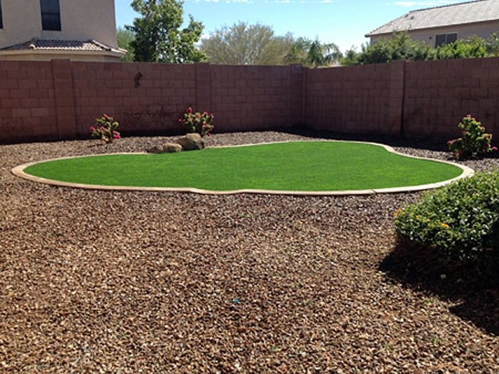 Fake Turf Lake Lindsey, Florida Landscape Rock, Small Backyard Ideas