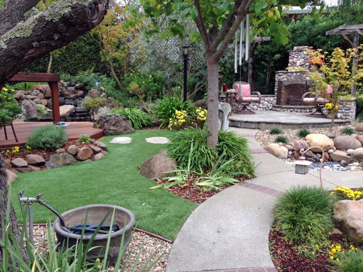 Fake Turf New Port Richey East, Florida Backyard Playground, Backyard Garden Ideas