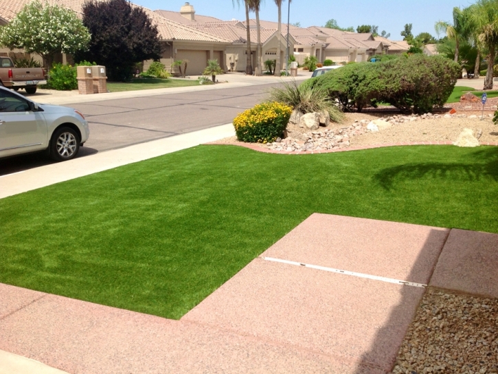 Fake Turf Oak Hill, Florida City Landscape, Front Yard