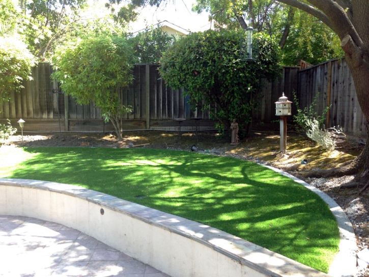 Fake Turf Temple Terrace, Florida Landscape Design, Commercial Landscape