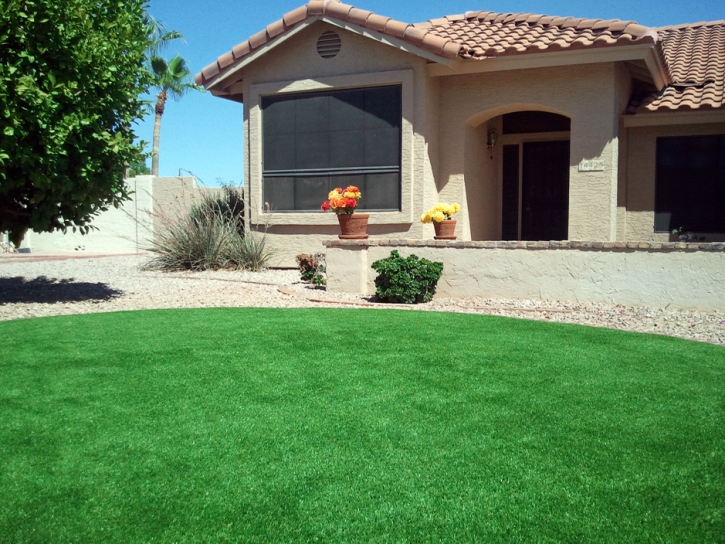 Fake Turf Westchase, Florida Lawn And Garden, Front Yard