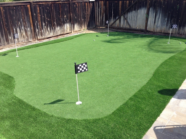 Faux Grass Belleair Shore, Florida Indoor Putting Green, Backyard Landscaping Ideas