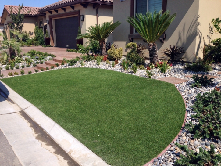 Faux Grass Fruitville, Florida Lawns, Front Yard Landscape Ideas