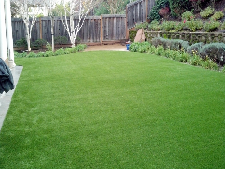 Faux Grass Harbour Heights, Florida Paver Patio, Small Backyard Ideas