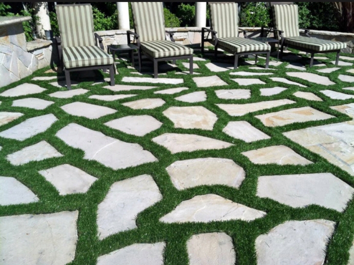 Faux Grass Nobleton, Florida Roof Top, Backyard Landscape Ideas