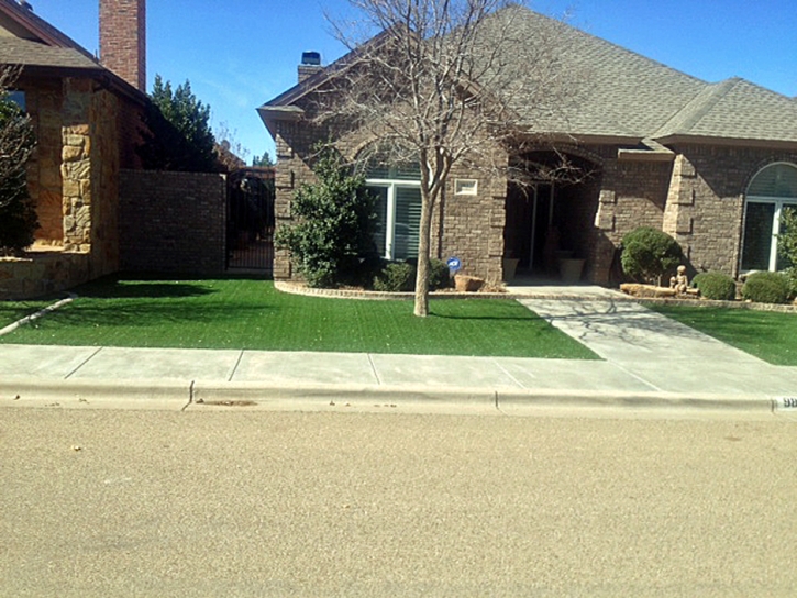 Faux Grass Pinellas Park, Florida Lawn And Garden, Front Yard Design