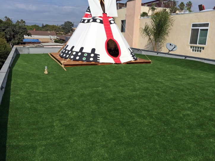 Faux Grass Riverview, Florida Rooftop, Patio