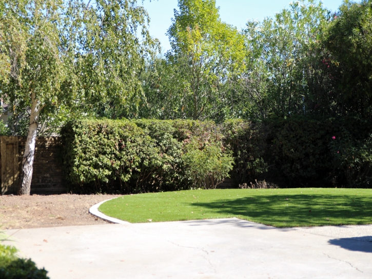 Faux Grass Rockledge, Florida Landscape Design, Backyards