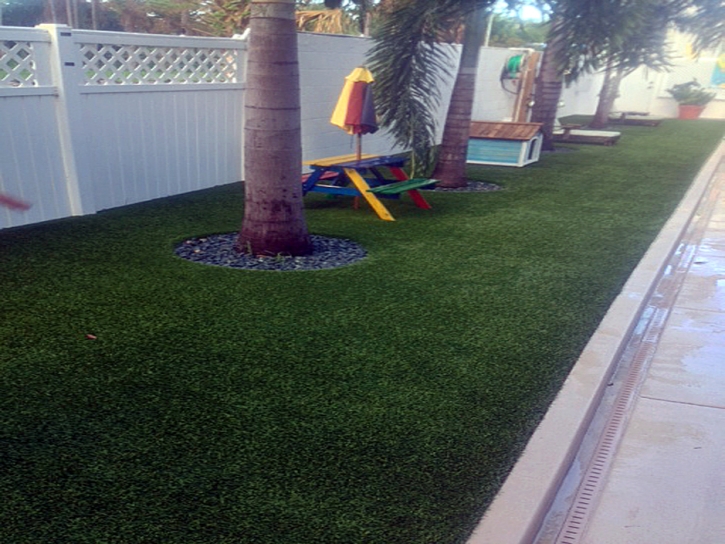 Faux Grass Tarpon Springs, Florida Design Ideas, Backyard Landscaping