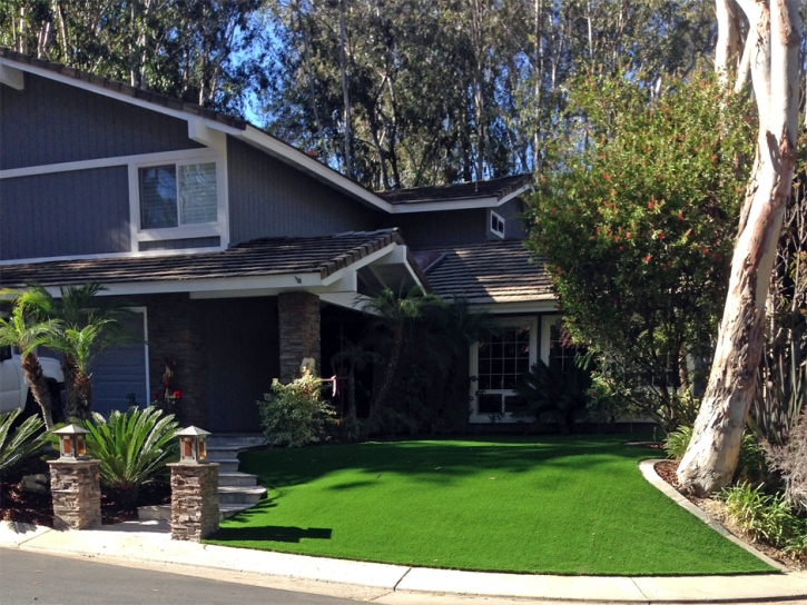 Faux Grass Vamo, Florida Gardeners, Front Yard Ideas