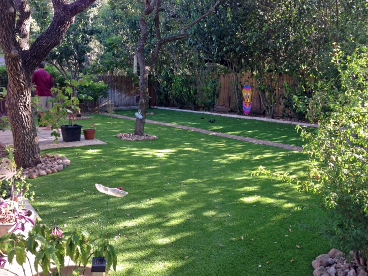 Grass Carpet Belleview, Florida Rooftop, Backyard Landscaping Ideas