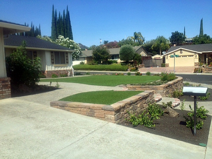 Grass Carpet Bloomingdale, Florida Roof Top, Front Yard Ideas